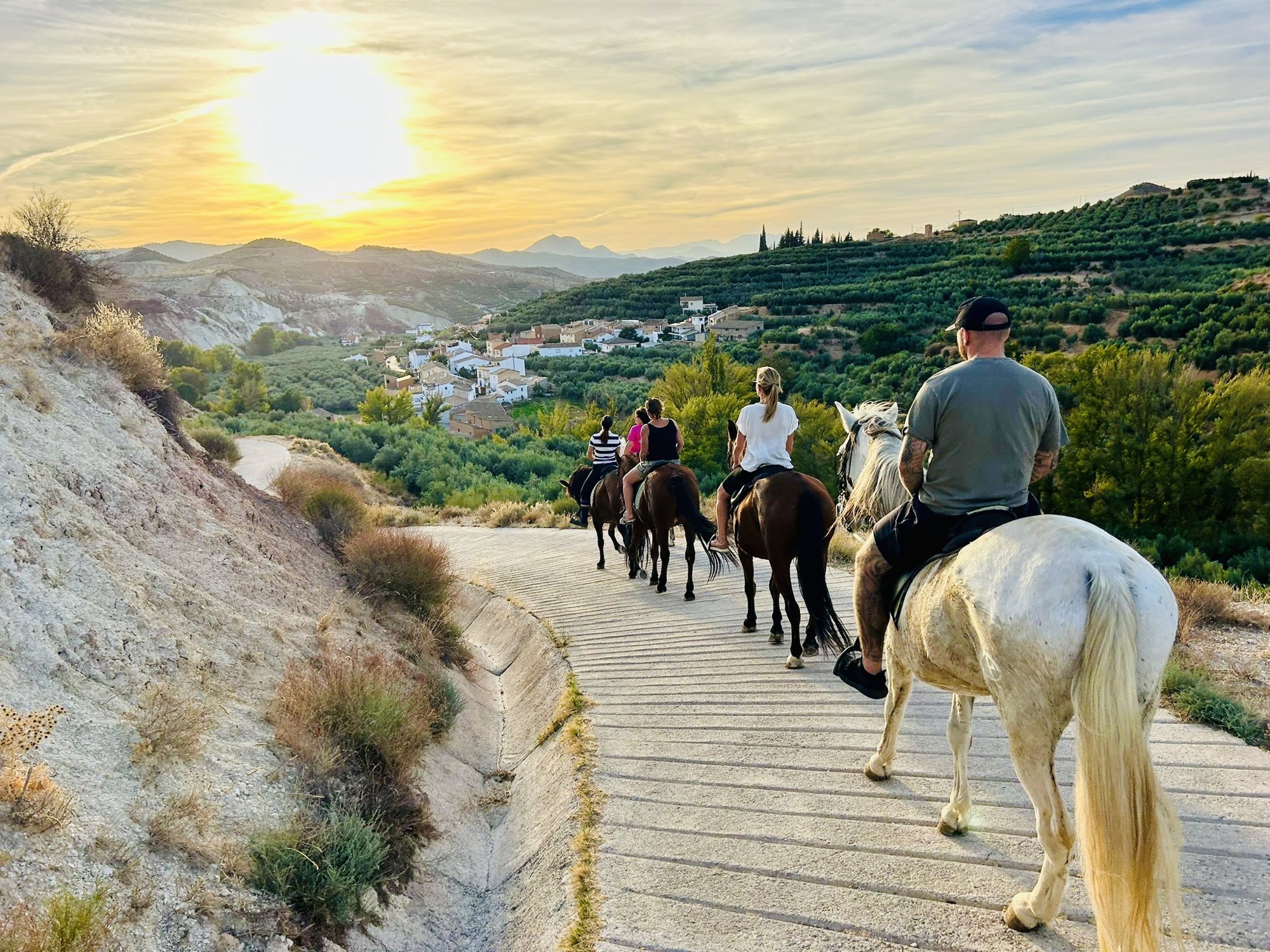 Horseback riding through olive groves