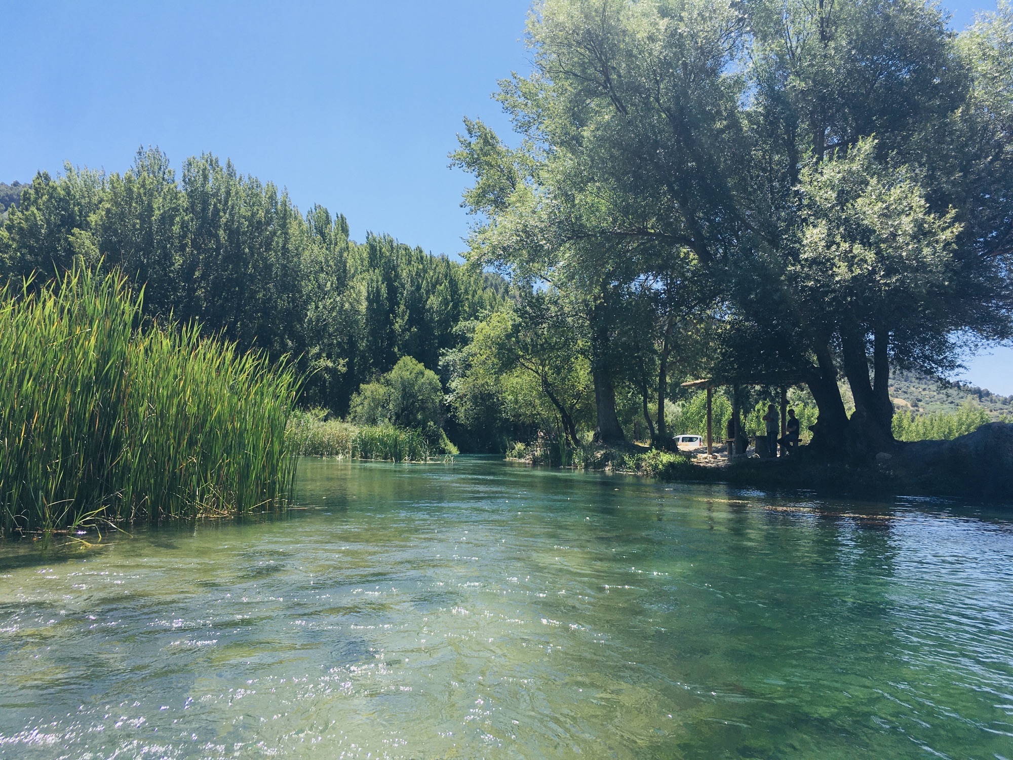 Gastronomic picnic by the river